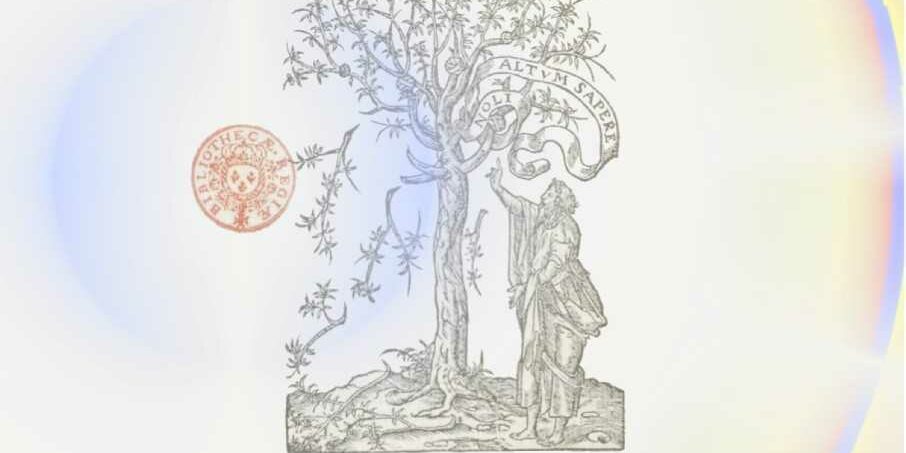 Désir d’Harmonie – Regards d’artistes autour de la poésie d’Amadis Jamyn