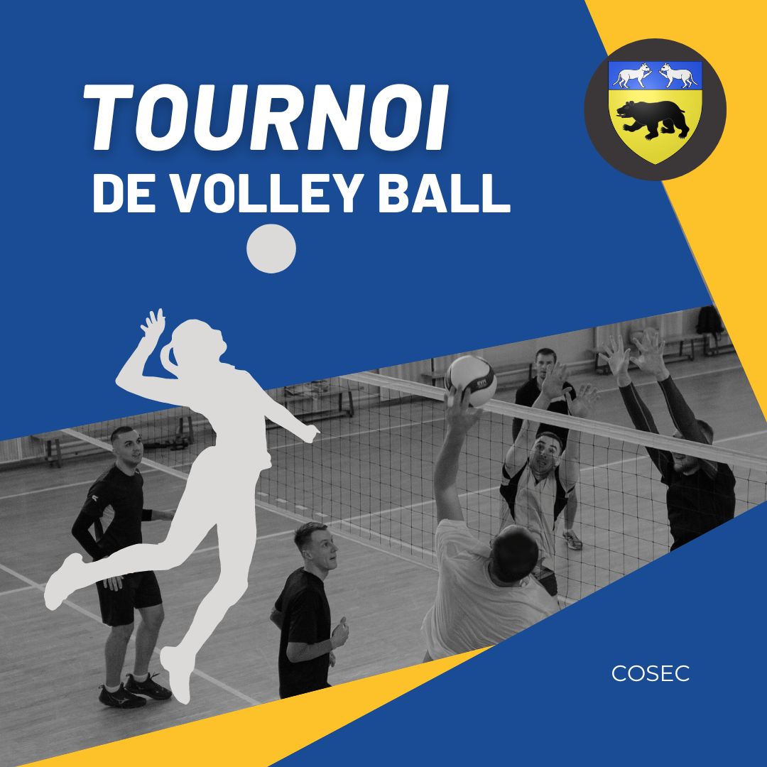 Tournoi de volley au COSEC