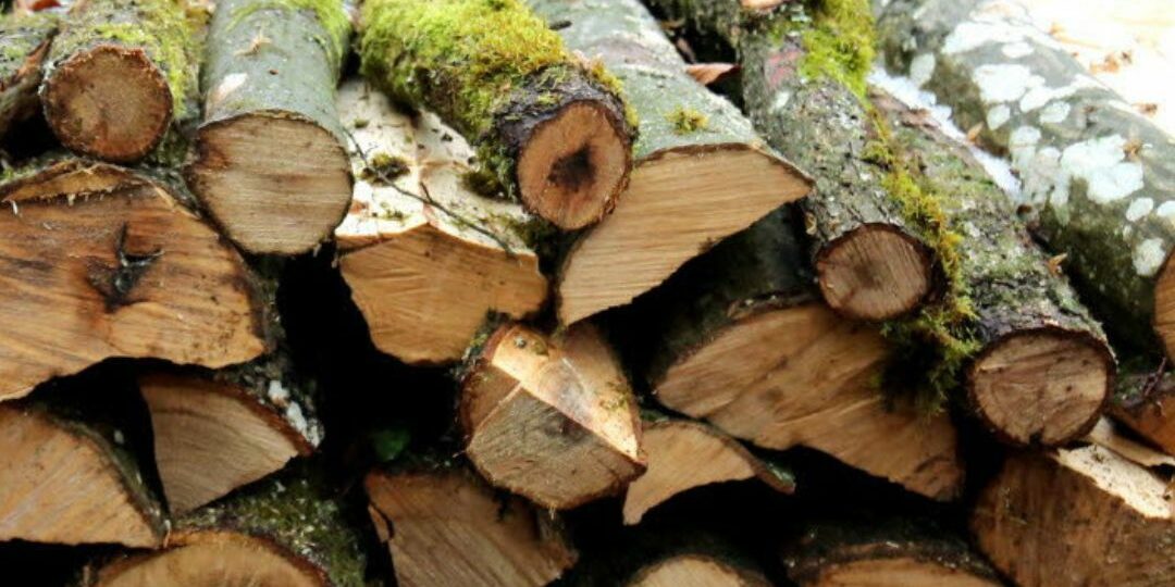 Affouage Chaource 2024