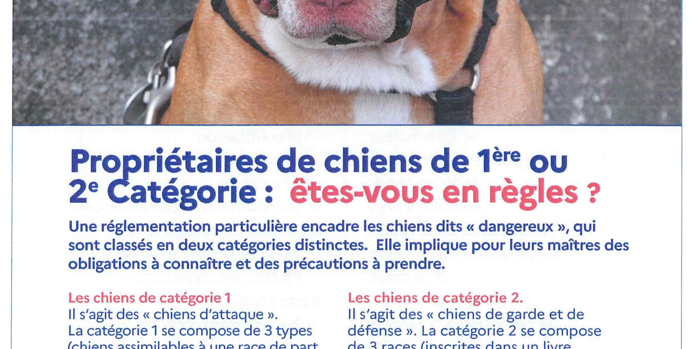 Déclarer-son-chien-en-Mairie