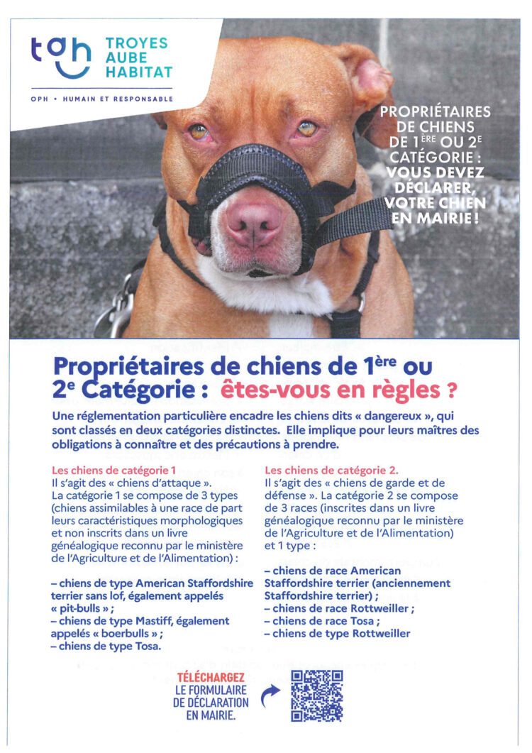Déclarer-son-chien-en-Mairie