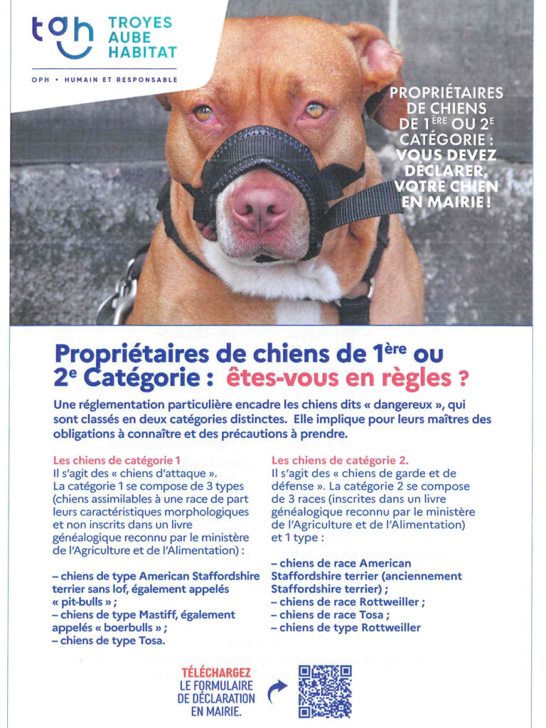 Déclarer-son-chien-en-Mairie
