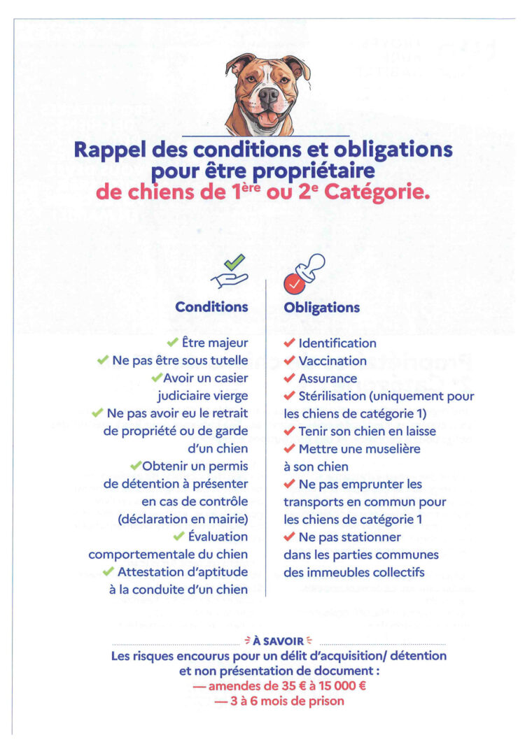 Déclarer-son-chien-en-Mairie-Verso